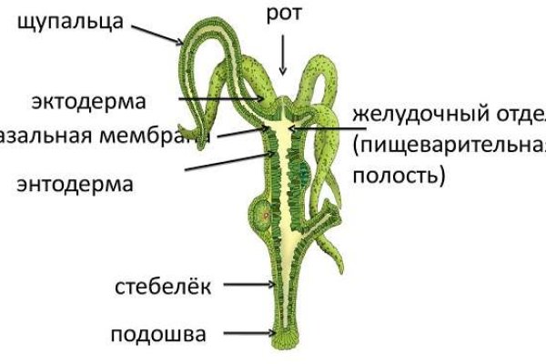 Kraken что это за сайт